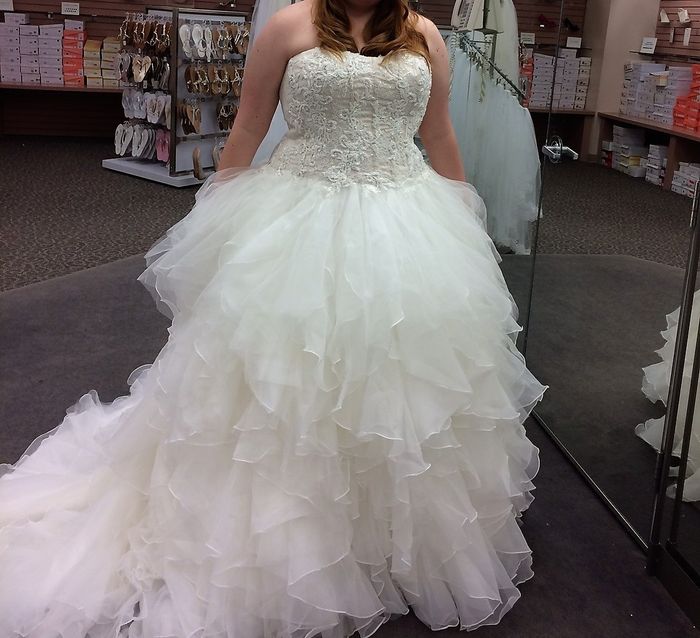 I Said Yes to the Dress!!