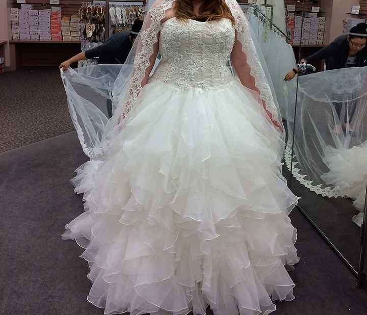 I Said Yes to the Dress!!