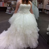 Davids Bridal Dresses!