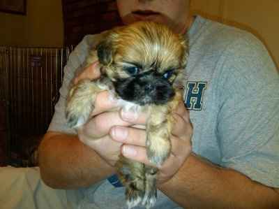 Let's see your pets!