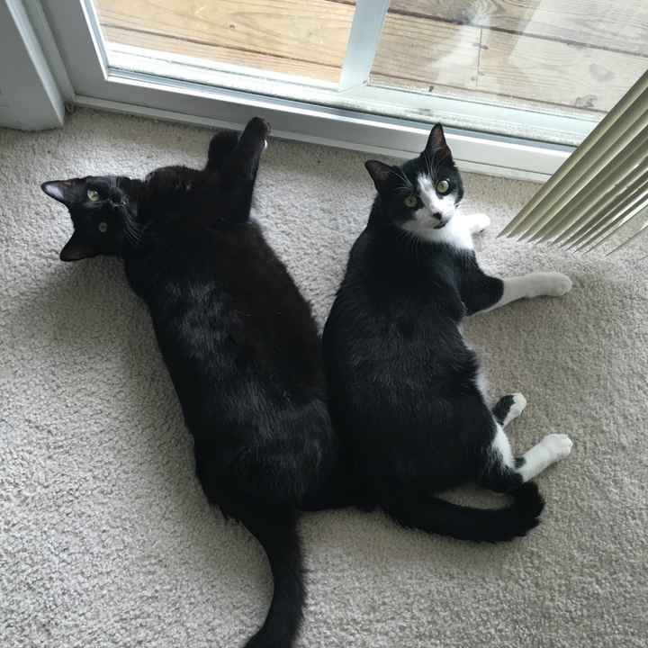 It's Fursday! Share the love!