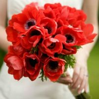 Anemones in bouquet?
