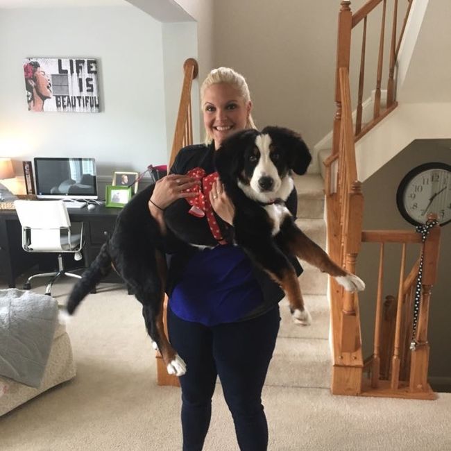 Furbaby pick me up