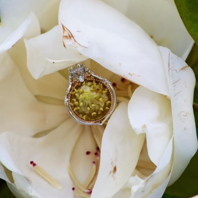 Brides of 2019!  Show us your ring! 6