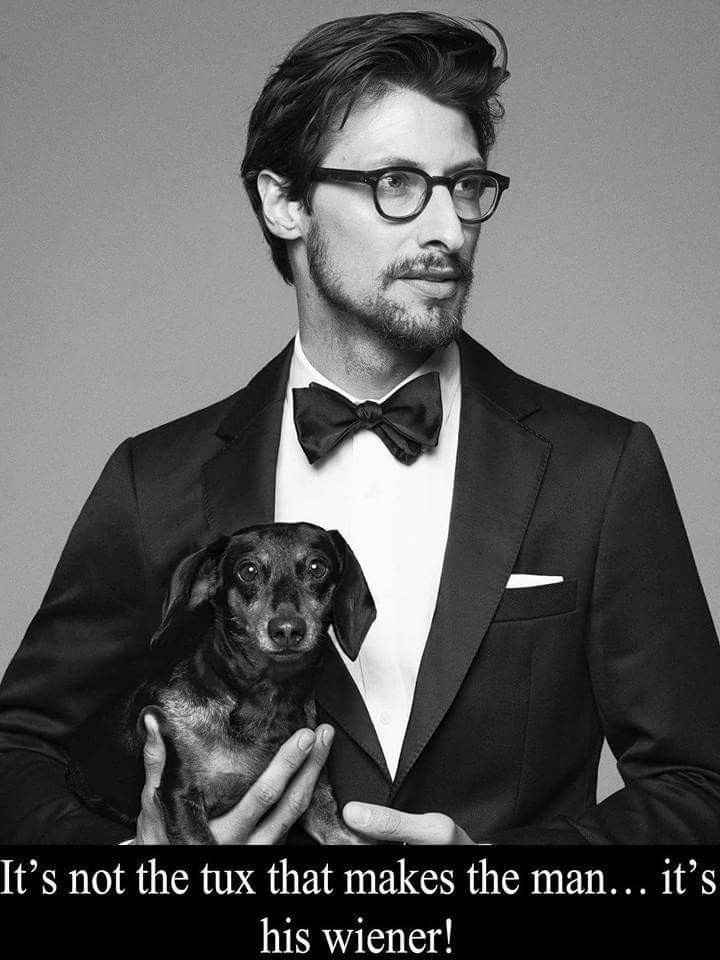 WW: Please welcome, Tickled Tuesday!