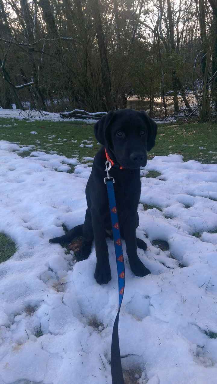 How are you all incorporating