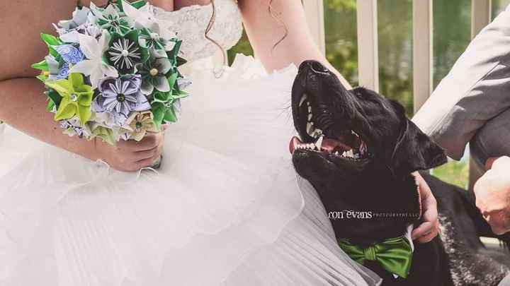Dog at wedding?