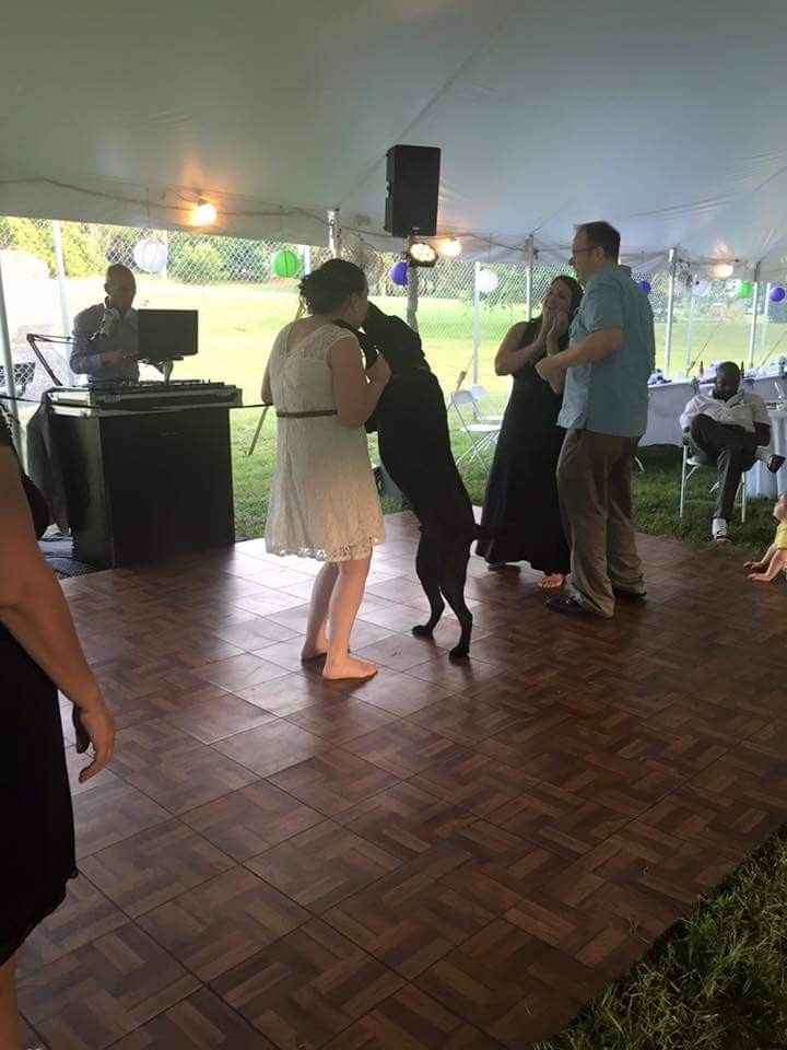 Dog at wedding?