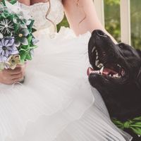 Finally My BAM!!! (3 months later!)