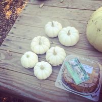 White Pumpkin Wedding - 2