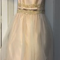 Last Minute Flower Girl Dresses?