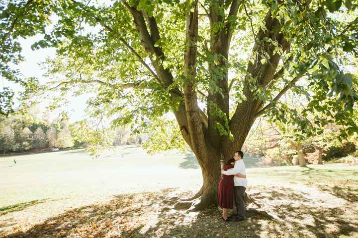 Plus-Sized Engagement Pictures Help