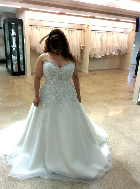 Show me your wedding dresses, and tell me where they are from,and the cost? :)