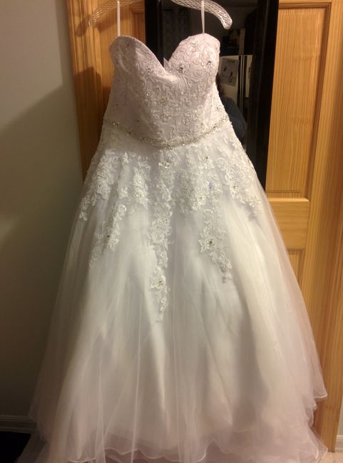 The Dress