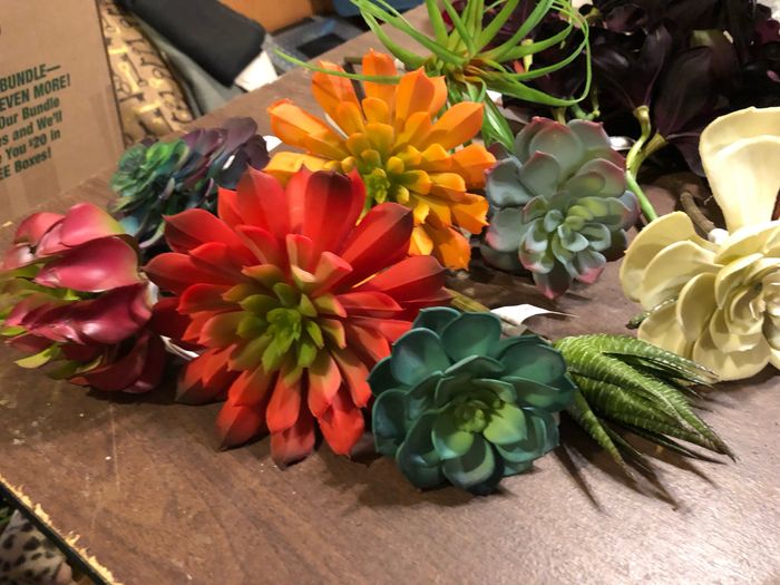Fake succulents at Michaels 50% off! - 1