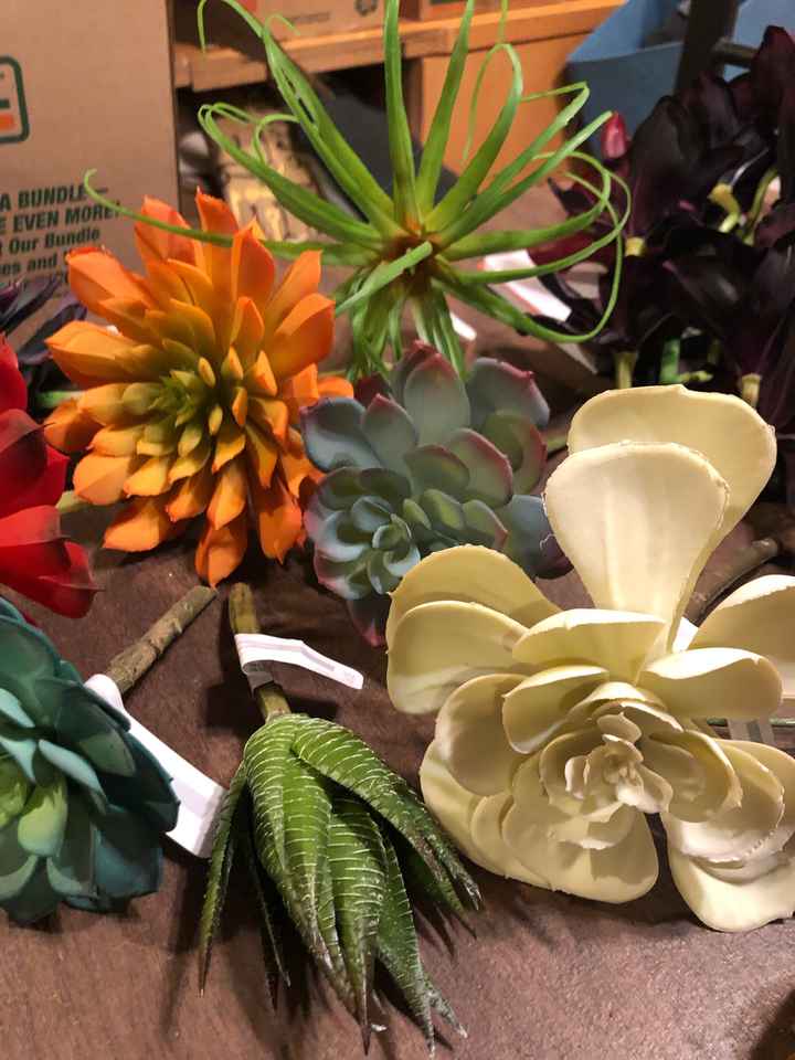 Fake succulents at Michaels 50% off! - 2