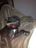 Just for fun, lets see your crazy pet child....