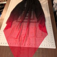Veils - 1