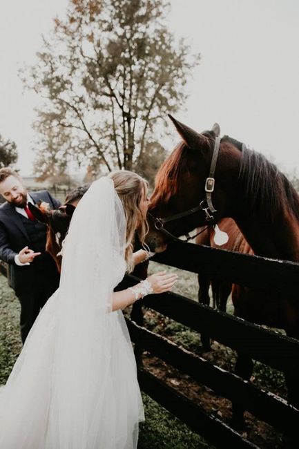 PROBAM: Intimate Kentucky Wedding (Pic heavy!) 38