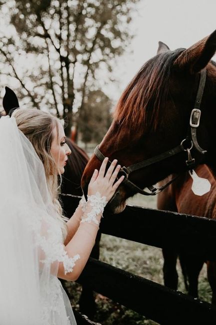 PROBAM: Intimate Kentucky Wedding (Pic heavy!) 44