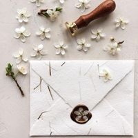 Seed Paper Envelopes! - 1