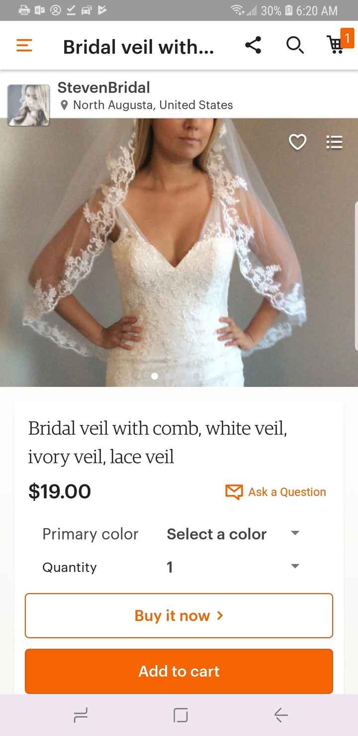 Veil too much? - 1