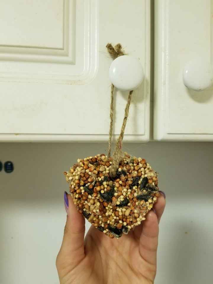Party favor - 1