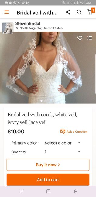 Veil too much? 2