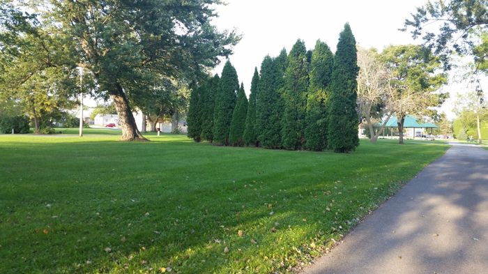 Park venue: what do you think?