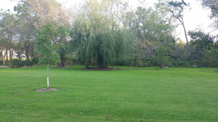 Park venue: what do you think?