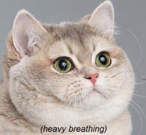 Too much food help me eliminate