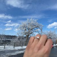 Brides of 2022! Show us your ring! - 1