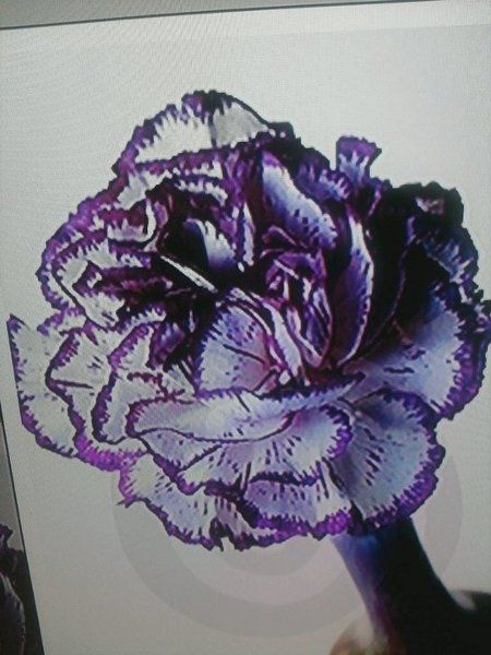 Show me your "bride" bouquet!!