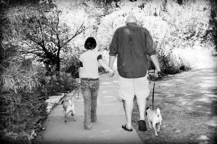 Fur babies and pictures