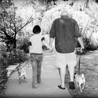 Fur babies and pictures