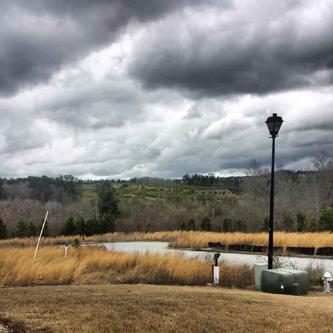 What would you do? (Table advice)