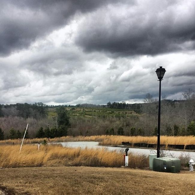 What would you do? (Table advice)