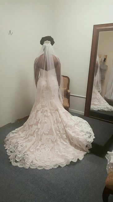 Pink/blush wedding dresses!