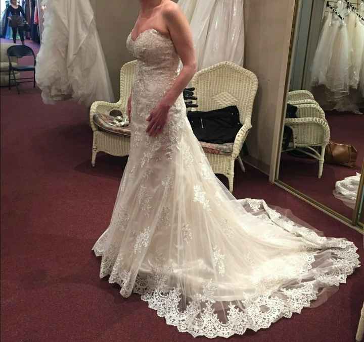 My Dress Came In!!! - Please share yours 😆 - 1