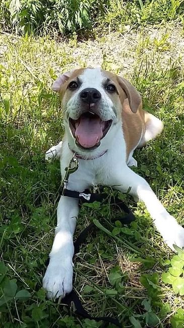 NWR: Show me your fur babies