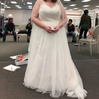 Show me you Davids Bridal Dress - 1