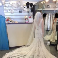  Committing to a dress. - 1