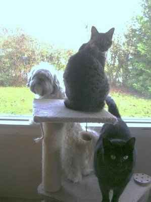 Lets introduce ourselves and lay it on the table