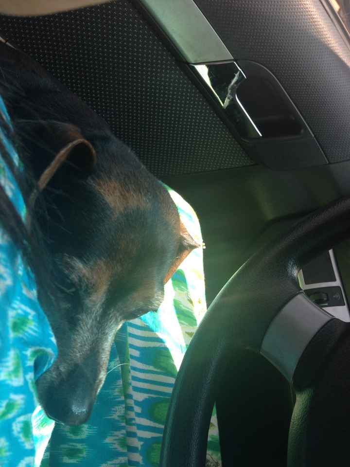 NWR- Furbaby Friday