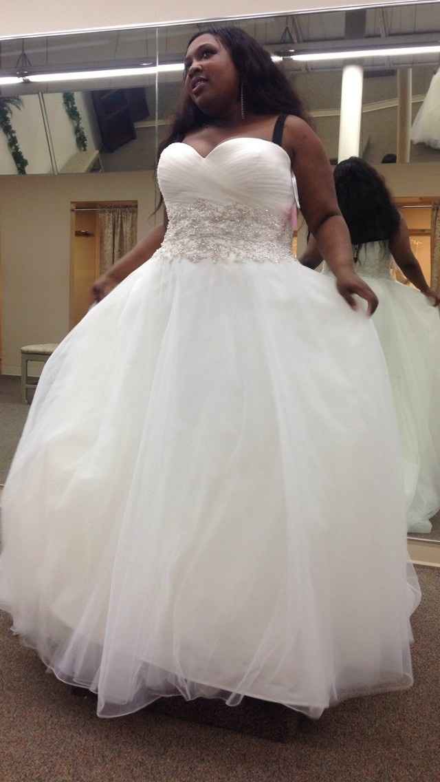 Dresses Dresses Dresses