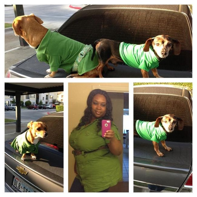 NWR:  Fur Babies