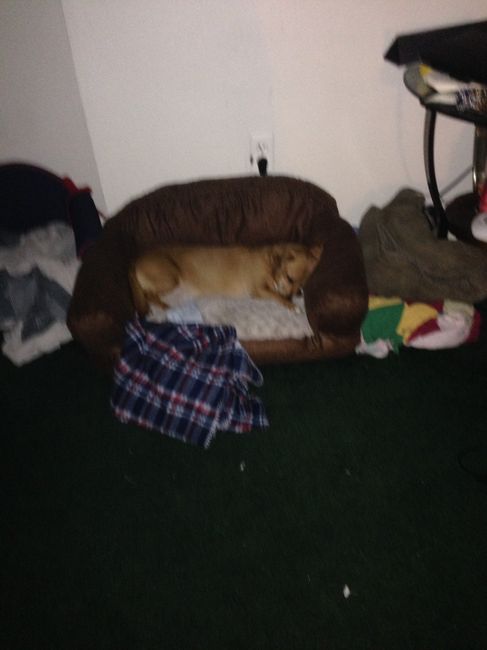 NWR- Furbaby Friday