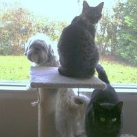 Lets introduce ourselves and lay it on the table