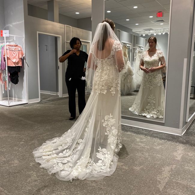 Wedding Dress Style Help (show me your dresses :) ) 15