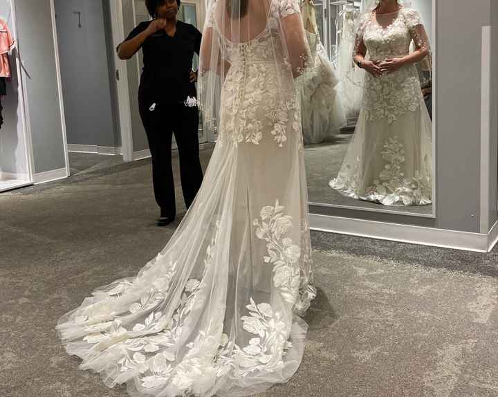 Dress Help! Please post your gowns!! - 1